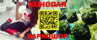 хмурый Коммунар
